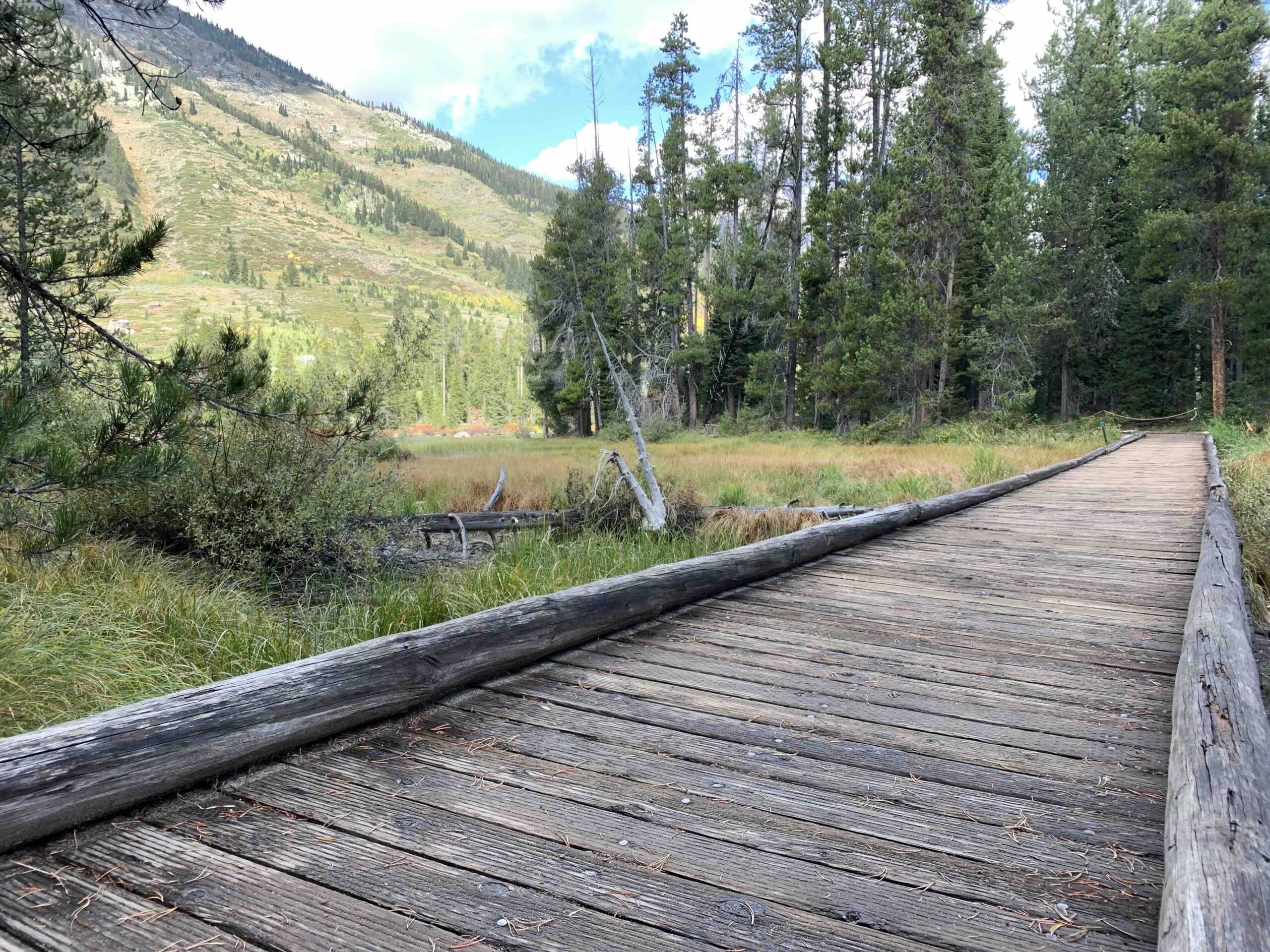 a boardwalk
