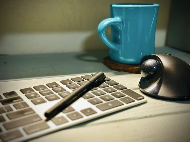 Writing is Not Publishing